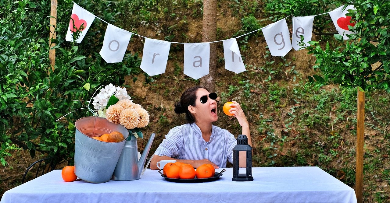 苗栗頭屋︱橙香森林．山林裡的唯美玻璃屋，還有美美的橘子隧道超好拍 @QQ的懶骨頭