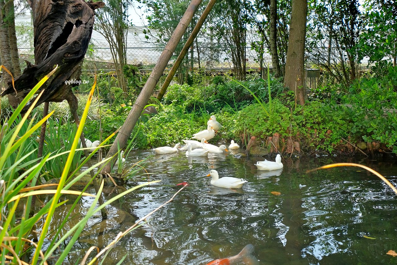 台中新社︱友利村．山城裡預約制無菜單料理，溫室玻璃屋超美的，大大的草皮可以溜小孩 @QQ的懶骨頭