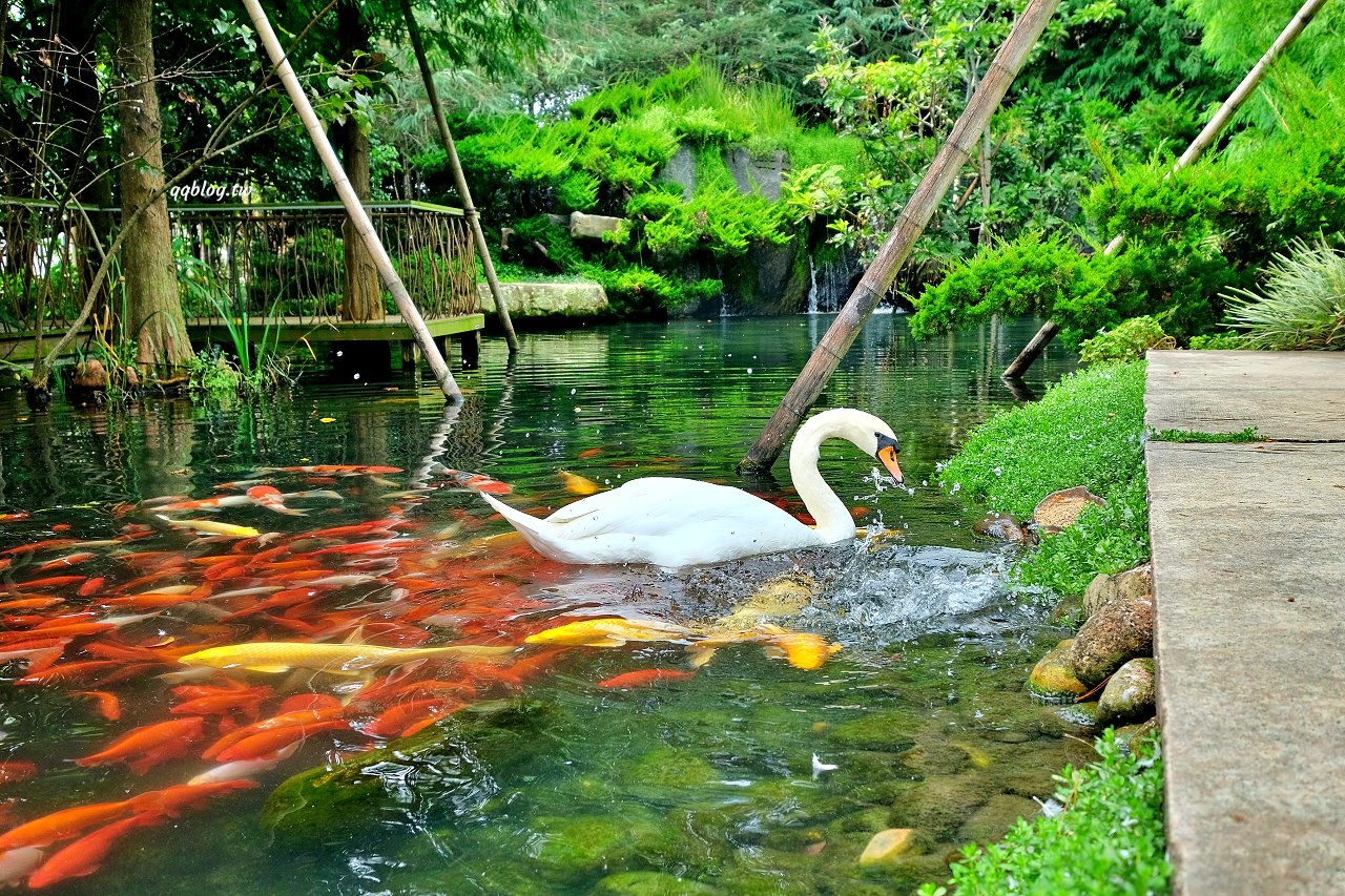 台中新社︱友利村.山城裡預約制無菜單料理,溫室玻璃屋超美的,大大的草皮可以溜小孩 @QQ的懶骨頭 台中新社︱友利村.山城裡預約制無菜單料理,溫室玻璃屋超美的,大大的草皮可以溜小孩 @QQ的懶骨頭