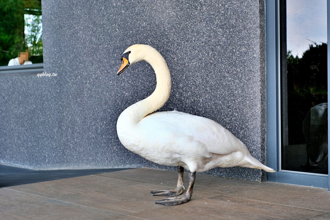 台中新社︱友利村.山城裡預約制無菜單料理,溫室玻璃屋超美的,大大的草皮可以溜小孩 @QQ的懶骨頭 台中新社︱友利村.山城裡預約制無菜單料理,溫室玻璃屋超美的,大大的草皮可以溜小孩 @QQ的懶骨頭