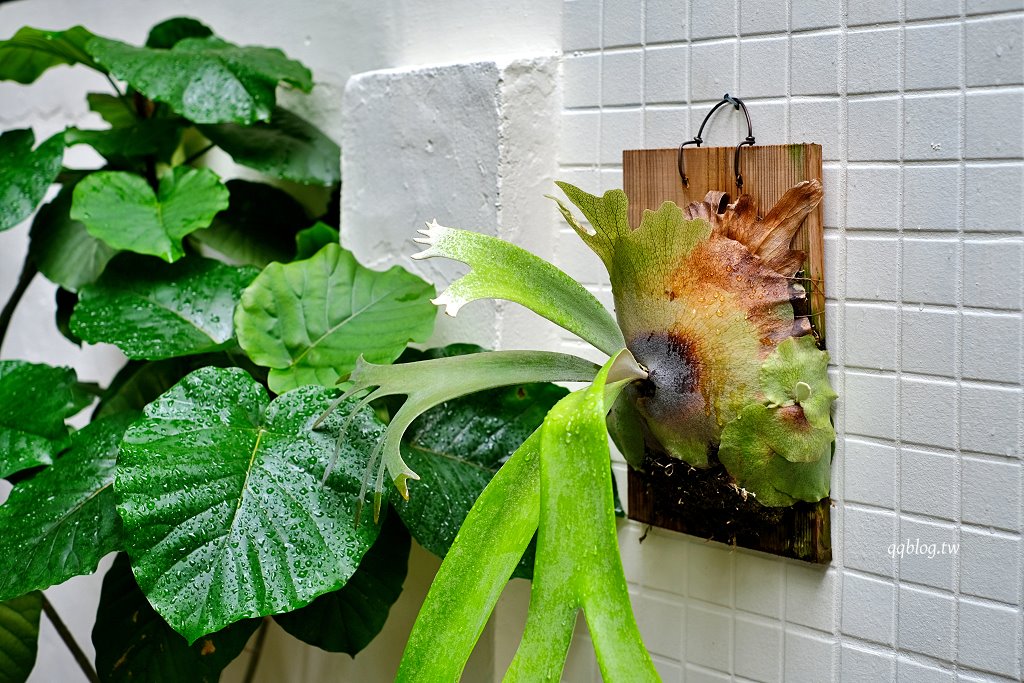 台中西區︱群島李季．從網路起家到現在有店面的老宅甜點，戚風蛋糕很推~ @QQ的懶骨頭