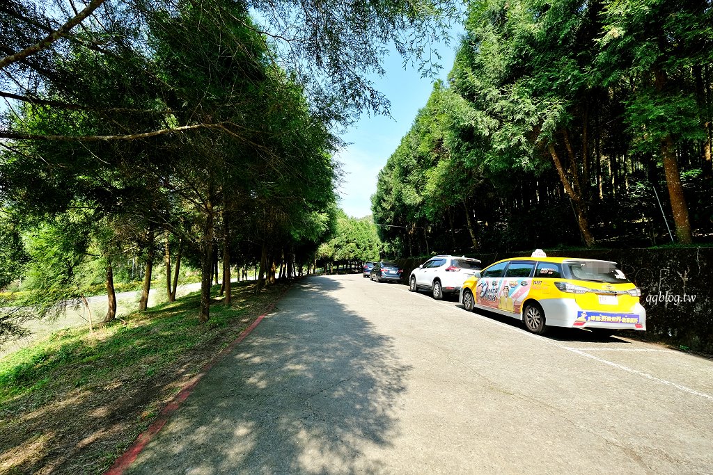 南投魚池︱鹿篙咖啡莊園．茶園環繞的景觀咖啡館，坐擁180度群山美景 @QQ的懶骨頭