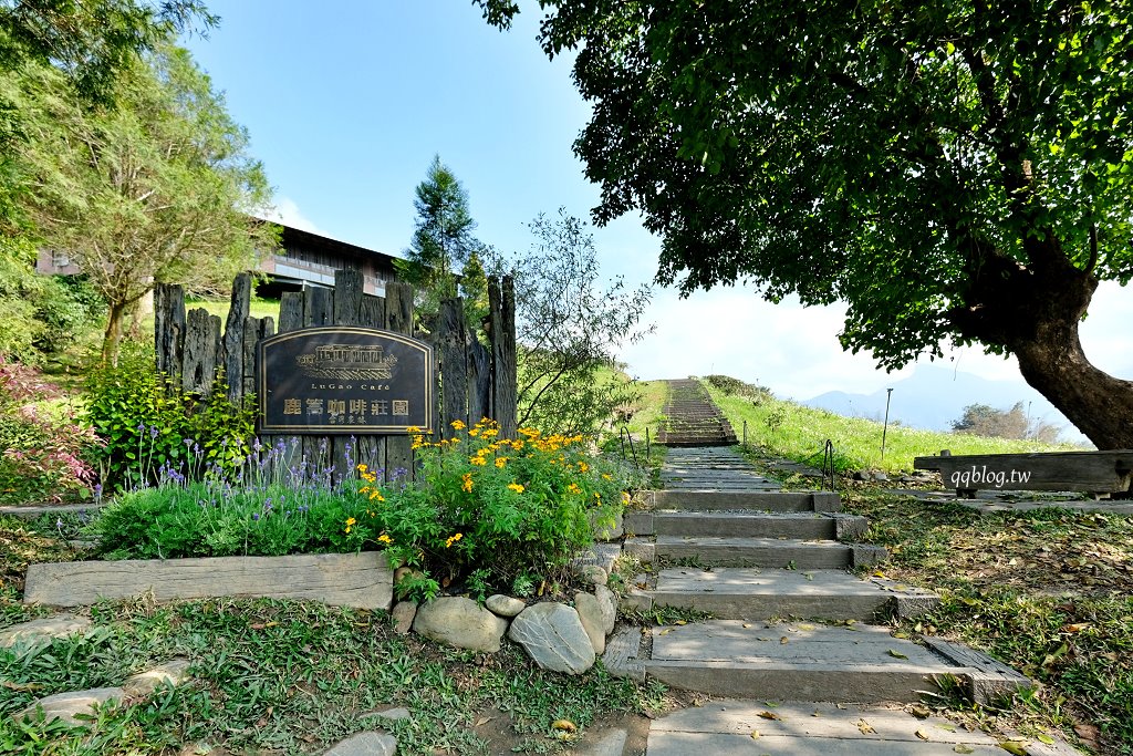 南投魚池︱鹿篙咖啡莊園．茶園環繞的景觀咖啡館，坐擁180度群山美景 @QQ的懶骨頭