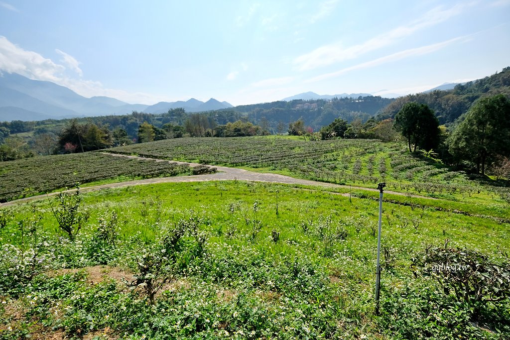 南投魚池︱鹿篙咖啡莊園．茶園環繞的景觀咖啡館，坐擁180度群山美景 @QQ的懶骨頭