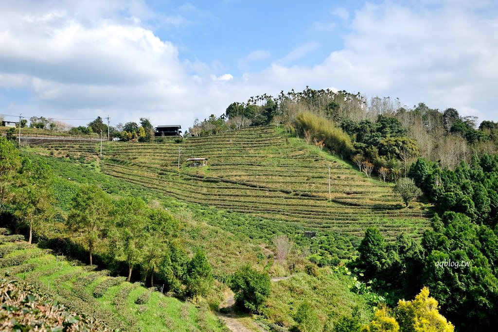 南投魚池︱鹿篙咖啡莊園．茶園環繞的景觀咖啡館，坐擁180度群山美景 @QQ的懶骨頭