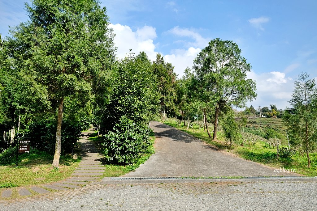 南投魚池︱鹿篙咖啡莊園．茶園環繞的景觀咖啡館，坐擁180度群山美景 @QQ的懶骨頭