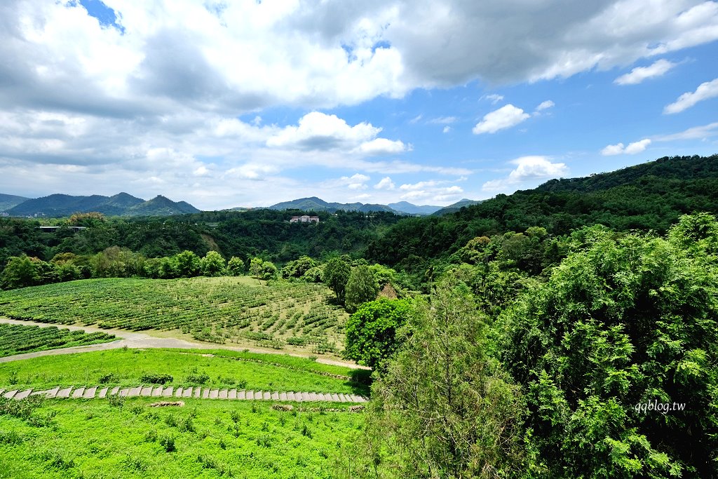 南投魚池︱鹿篙咖啡莊園．茶園環繞的景觀咖啡館，坐擁180度群山美景 @QQ的懶骨頭