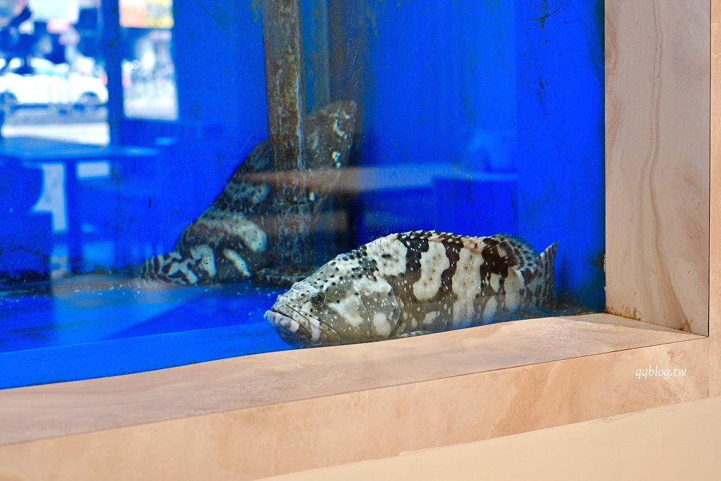 台中北區︱麻川川青花椒烤魚．來自重慶的道地烤魚，現烤活魚香味十足 @QQ的懶骨頭