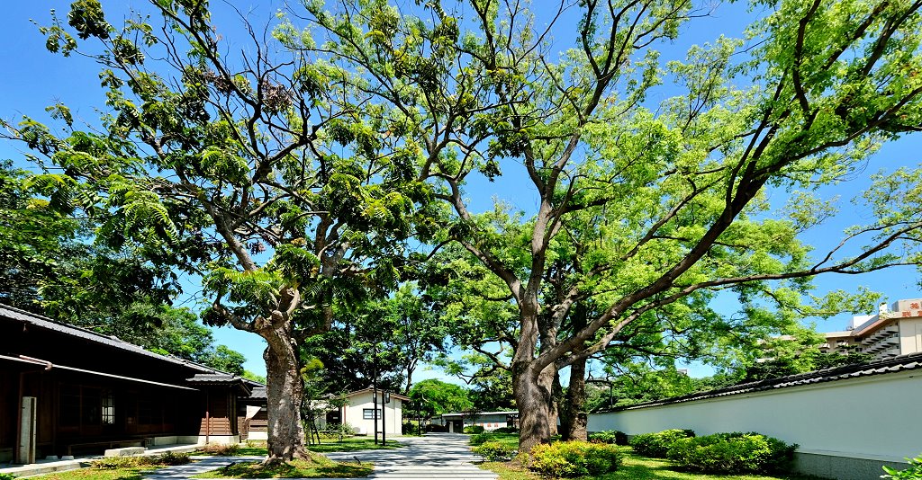 台中南屯︱浩源活海鮮餐廳．活體海鮮選你挑，平價好吃海鮮餐廳推薦 @QQ的懶骨頭