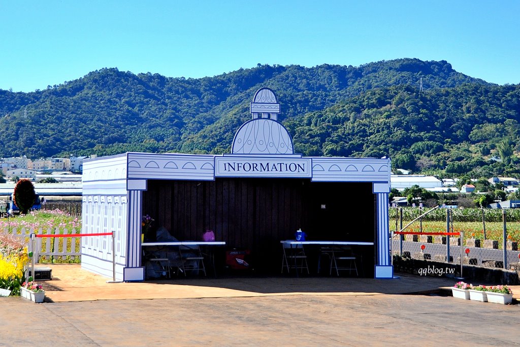 【2025新社花海】台中花毯節11/8登場，可愛的「飛天小女警」主題，三大亮點一次看 @飛天璇的口袋