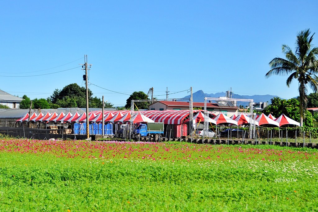 台中新社︱2025新社花海暨台中國際花毯節．以卡通飛天小女警為設計主題，新社、石岡、東勢美食景點懶人包整理 @QQ的懶骨頭