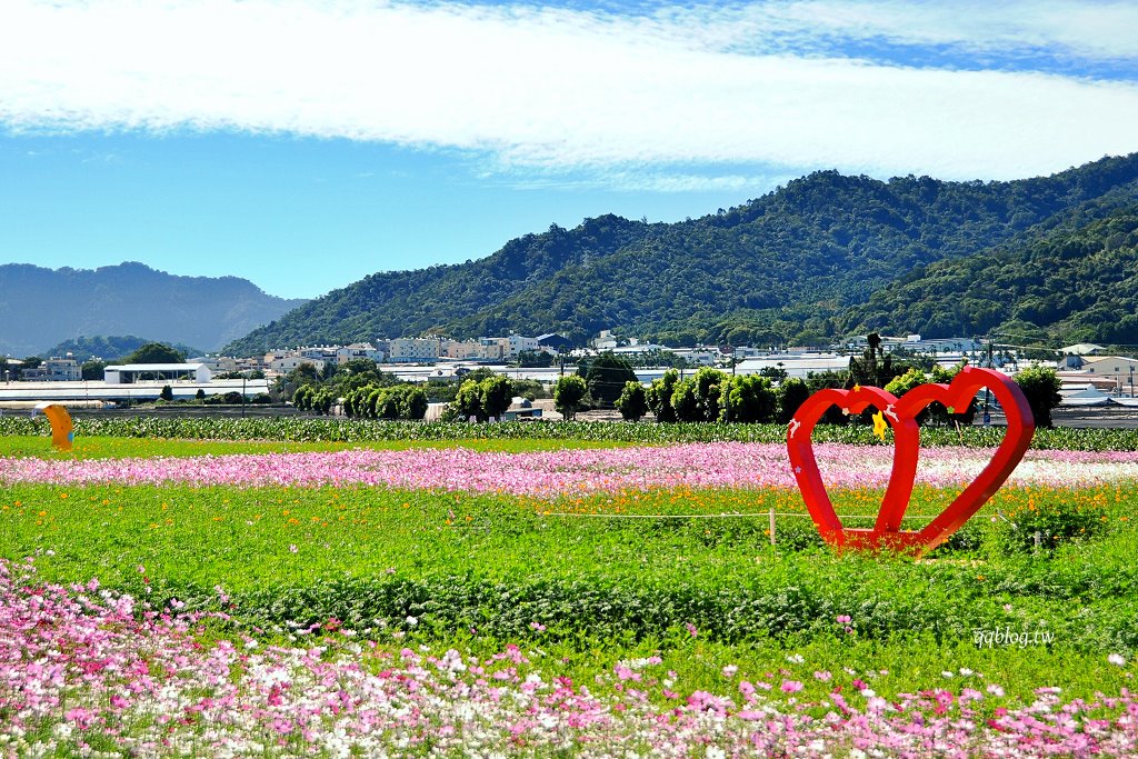 台中新社︱2025新社花海暨台中國際花毯節.以卡通飛天小女警為設計主題,新社、石岡、東勢美食景點懶人包整理 @QQ的懶骨頭 台中新社︱2025新社花海暨台中國際花毯節.以卡通飛天小女警為設計主題,新社、石岡、東勢美食景點懶人包整理 @QQ的懶骨頭