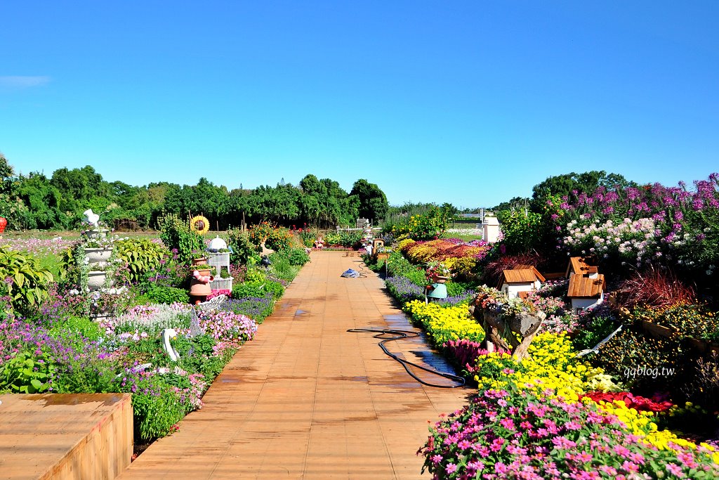 台中新社︱2025新社花海暨台中國際花毯節.以卡通飛天小女警為設計主題,新社、石岡、東勢美食景點懶人包整理 @QQ的懶骨頭 台中新社︱2025新社花海暨台中國際花毯節.以卡通飛天小女警為設計主題,新社、石岡、東勢美食景點懶人包整理 @QQ的懶骨頭