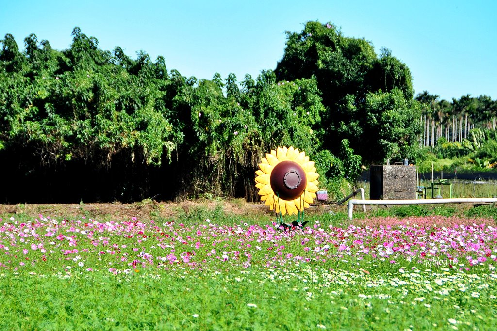 台中新社︱2025新社花海暨台中國際花毯節.以卡通飛天小女警為設計主題,新社、石岡、東勢美食景點懶人包整理 @QQ的懶骨頭 台中新社︱2025新社花海暨台中國際花毯節.以卡通飛天小女警為設計主題,新社、石岡、東勢美食景點懶人包整理 @QQ的懶骨頭