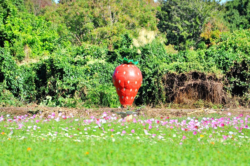 台中新社︱2025新社花海暨台中國際花毯節.以卡通飛天小女警為設計主題,新社、石岡、東勢美食景點懶人包整理 @QQ的懶骨頭 台中新社︱2025新社花海暨台中國際花毯節.以卡通飛天小女警為設計主題,新社、石岡、東勢美食景點懶人包整理 @QQ的懶骨頭
