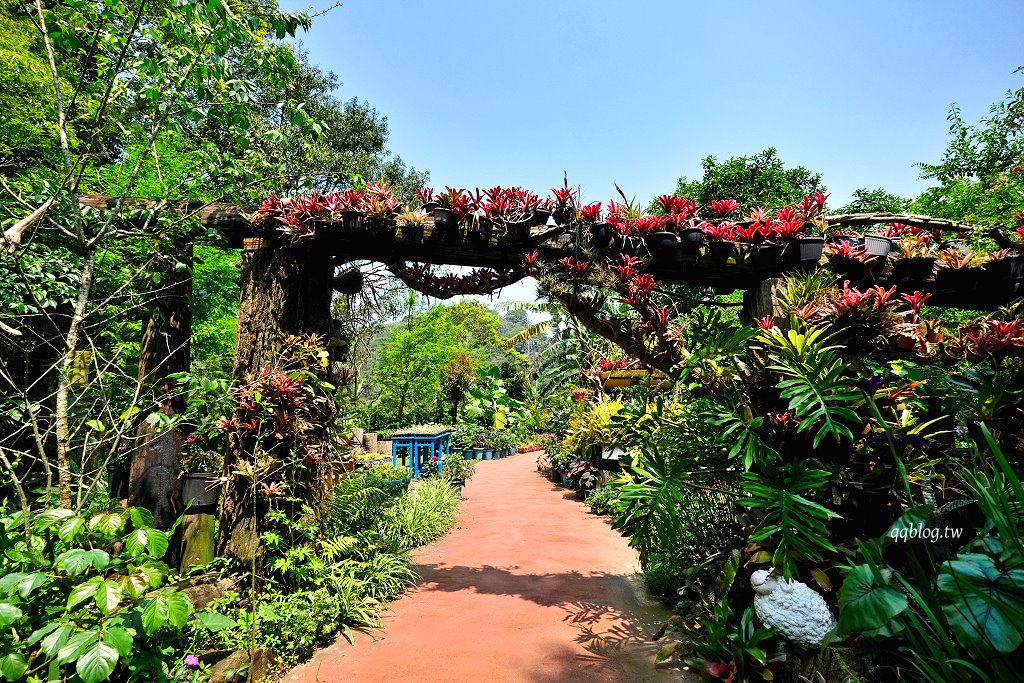苗栗三義︱卓也小屋渡假園區．春暖花開賞花的季節，療鬱手作花朵移印染，蔬食百匯+下午茶，玩樂一整天 @QQ的懶骨頭