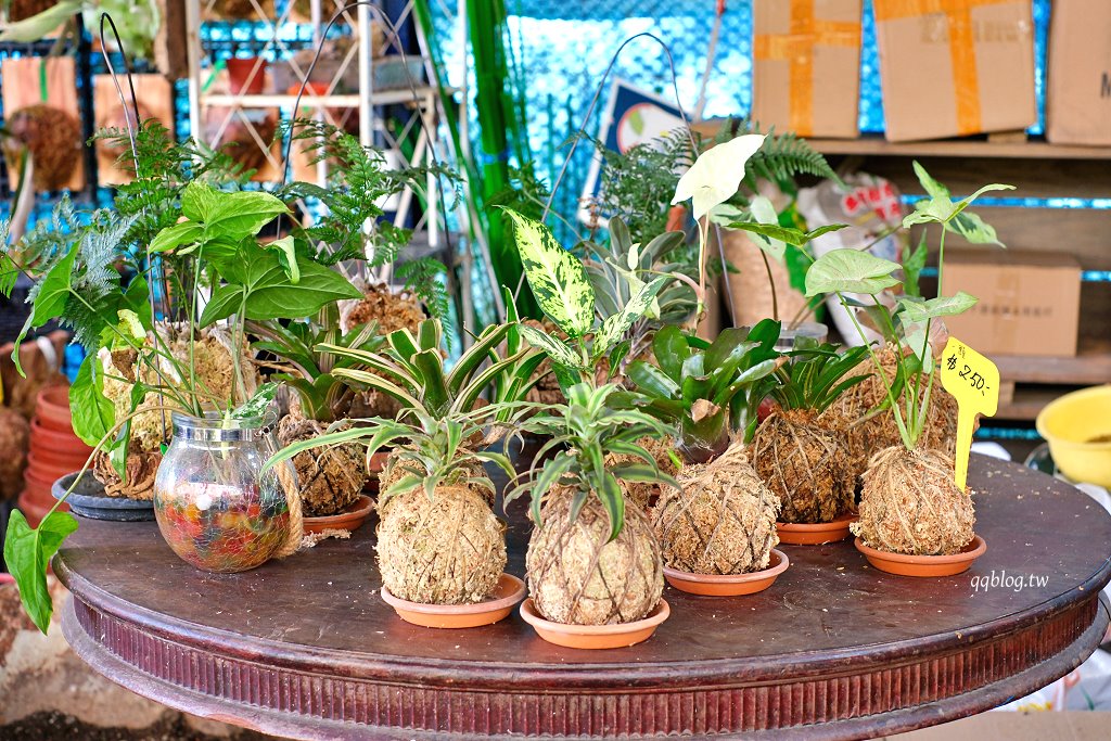 苗栗三義︱卓也小屋渡假園區．春暖花開賞花的季節，療鬱手作花朵移印染，蔬食百匯+下午茶，玩樂一整天 @QQ的懶骨頭