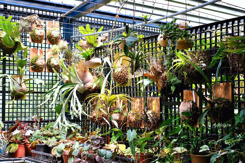 苗栗三義︱卓也小屋渡假園區．春暖花開賞花的季節，療鬱手作花朵移印染，蔬食百匯+下午茶，玩樂一整天 @QQ的懶骨頭