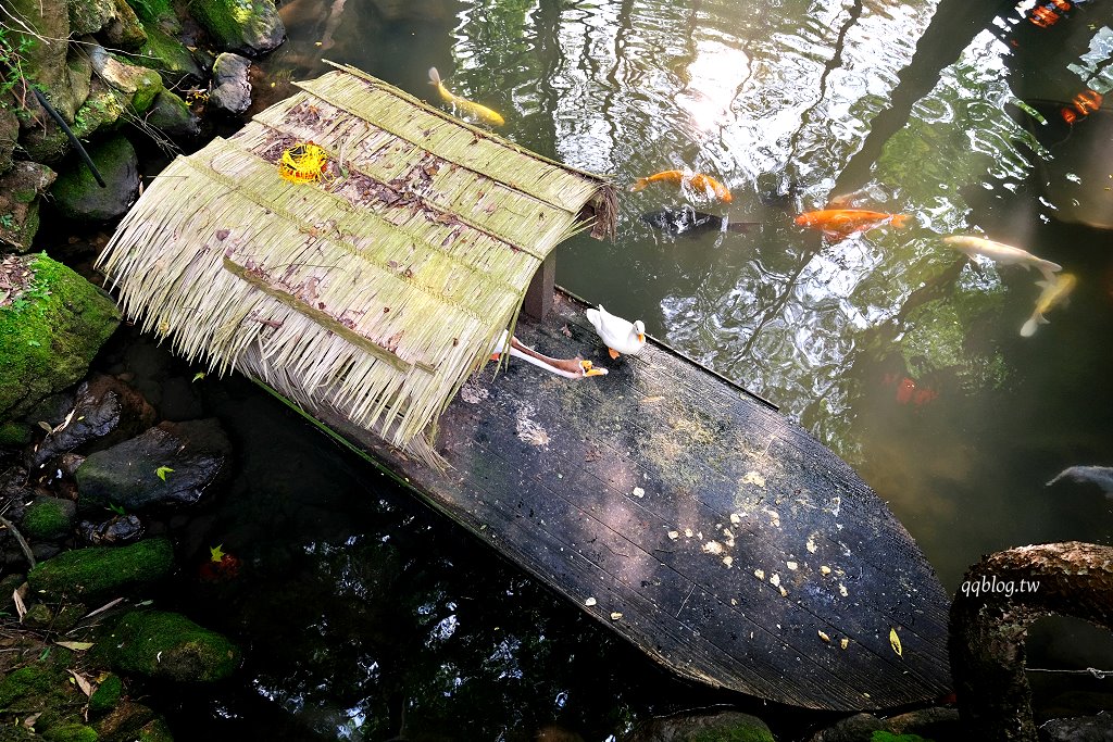 苗栗三義︱卓也小屋渡假園區．春暖花開賞花的季節，療鬱手作花朵移印染，蔬食百匯+下午茶，玩樂一整天 @QQ的懶骨頭