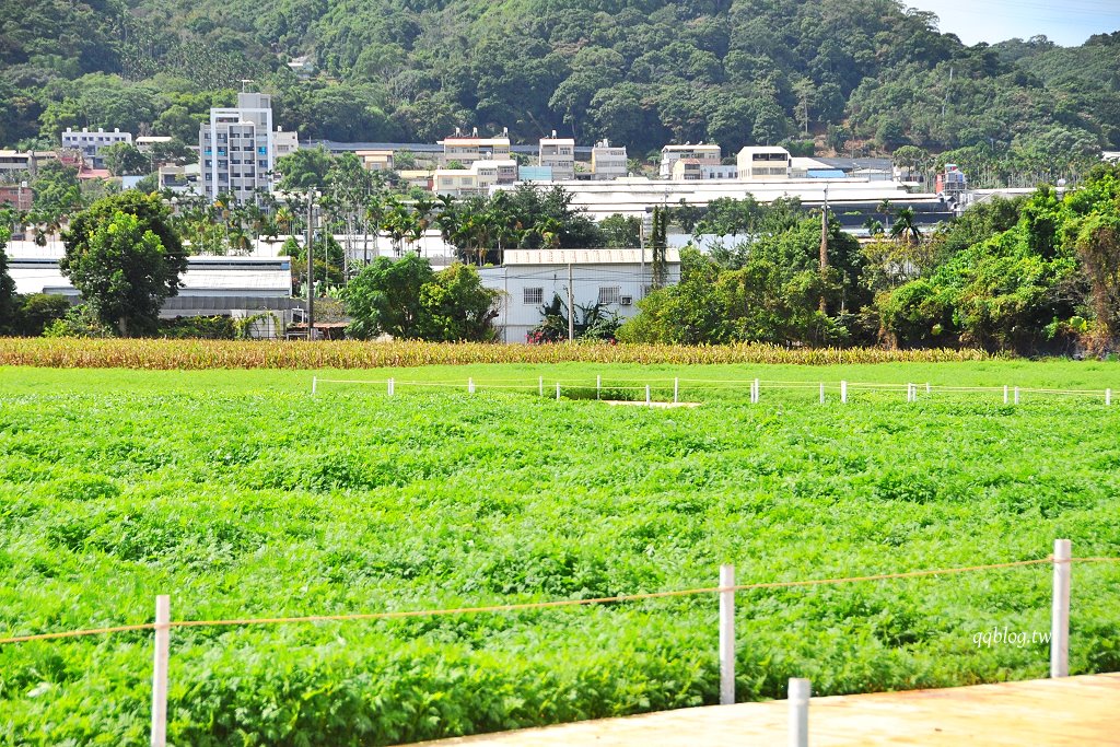 台中新社︱2026新社花海暨台中國際花毯節．與日本三麗鷗合作，以甜點王國為設計主題，新社、石岡、東勢美食景點懶人包整理 @QQ的懶骨頭
