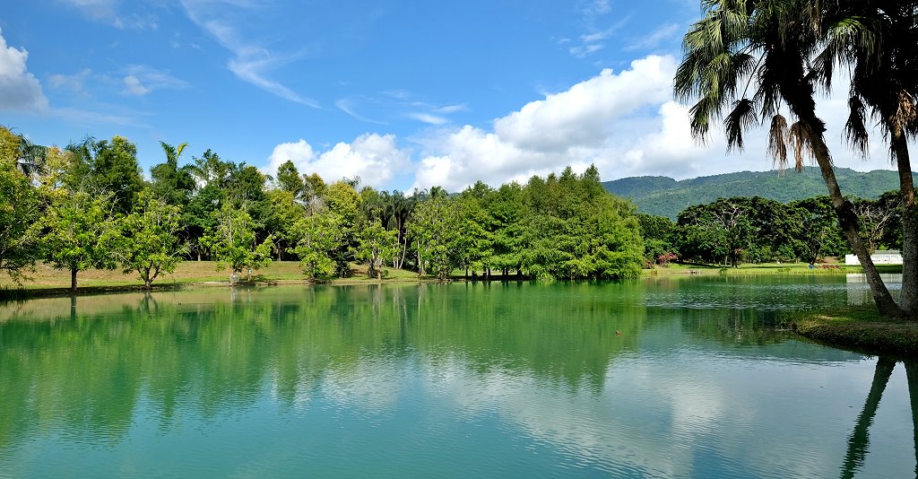 振興花東旅遊獎勵懶人包，自由行住房補助、農粉幣怎麼申請，好康優惠一次搞懂 @QQ的懶骨頭